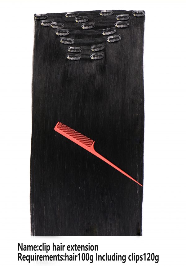 Clip-In Hair Extension Set